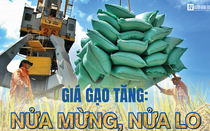 [E] Giá gạo tăng: Nửa mừng, nửa lo