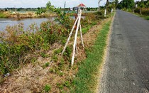 Bạc Liêu: Tốn hàng trăm triệu để cây chết khô gây phản cảm