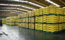 Nguyên nhân Trung Quốc siết chặt xuất khẩu phân bón