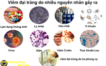 Bệnh viêm đại tràng có nguy hiểm không? Ai là đối tượng của căn bệnh này
