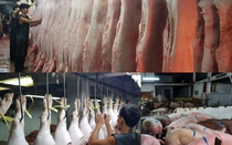 Kiểm tra việc truy xuất nguồn gốc thịt heo ở hai chợ đầu mối