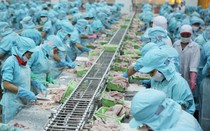 Doanh nghiệp ngành lâm, thủy sản được giảm lãi suất cho vay 1-2%/năm