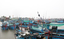 Ninh Thuận: Nghiêm cấm tàu thuyền ra khơi, tạm dừng các hoạt động vui chơi trên biển