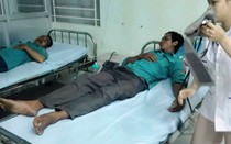 Ninh Thuận: Ngang nhiên chặt phá, lấn chiếm đất rừng và hành hung lực lượng làm nhiệm vụ