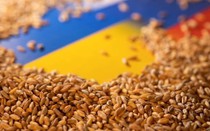 Ukraine thiết lập tuyến đường xuất khẩu ngũ cốc sang Ba Lan và Romania