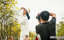 Người dân thích thú check in bên đường hoa phong linh rực vàng