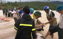 Huy động 150 người dân và phương tiện gia cố đập trong mưa lũ