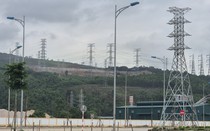 Phá 2,6ha rừng tự nhiên, doanh nghiệp bị phạt 325 triệu đồng