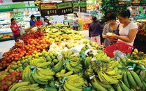 75.000 USD hỗ trợ các ý tưởng ứng dụng công nghệ thông minh cho nông nghiệp