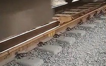 Chó con cận kề thần chết khi nằm ngủ dưới đường ray