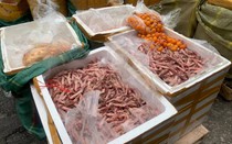 Không thể bỏ lỡ: Bắt giữ hàng tấn thực phẩm bốc mùi tại MM Mega Market Hà Nội, Danh tính tài xế lái “siêu xe” Bentley chạy ngược chiều trên phố