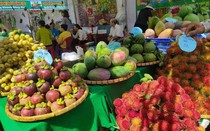 Đồng Nai: Lễ hội trái cây Long Khánh sẽ diễn ra từ ngày 15/6