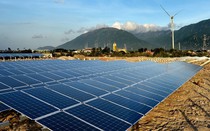 Fecon thoát lỗ nhờ thoái vốn Dự án Điện mặt trời Vĩnh Hảo 6
