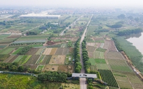 Dự án The Diamond Park vẫn là bãi đất trống sau 15 năm quy hoạch
