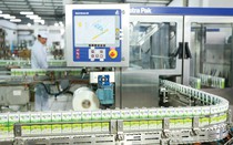 Loạt công ty bị phạt do công bố tài liệu không đúng thời hạn