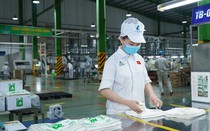 Nhựa An Phát Xanh muốn đấu giá công khai 100 triệu cổ phiếu AAA