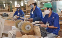 Nhà đầu tư hoán đổi nợ cho Gỗ Trường Thành sắp “hái quả ngọt”