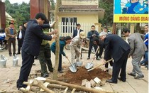 Sơn La: Trồng 1 triệu cây phân tán trong năm 2018