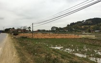 Sơn La lập Tổ kiểm tra một số khu vực có dấu hiệu vi phạm quản lý đất đai