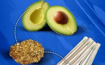 Hô biến hạt quả bơ thành ống hút, dao, nĩa sinh học để thay thế nhựa