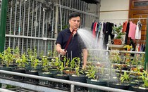Ông chủ Ninh Nguyễn đam mê hoa lan
