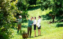 Đầu tư nông nghiệp – mắt xích thúc đẩy phục hồi kinh tế