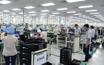 Doanh nghiệp Việt thận trọng với 'sân chơi' FTA