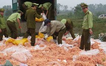 Bí mật về ‘gia vị vua’ biến bã sắn dây thành ‘ruốc thịt’?!