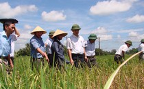 Tỉnh 'lạm phát' cấp phó: Tại thế hệ trước để lại