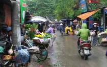 100 ngàn/100 lá dong gói bánh chưng ngày Tết Nguyên Đán