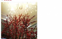 Valentine’s Day: Trấn Thành hạnh phúc, Hồ Ngọc Hà xem phim tình cảm