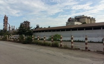 Huế: Một công nhân tử vong khi đang làm việc tại nhà máy xi măng