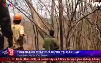 Dân mạng nói gì trước tin VTV 'bị tố' dàn dựng cảnh phá rừng làm PS?