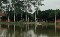 Bức xúc vì tiền điện tăng vọt: Dân phải chờ đến bao giờ?