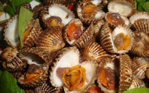 Mẹo hay lựa chọn và làm sạch ngao, sò, ốc cực đơn giản