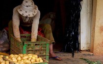 Ngập tràn hoa quả Trung Quốc gắn mác Việt