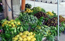 E ngại hoa quả Trung Quốc, hàng nội lên ngôi