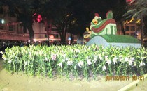 Khai mạc Lễ hội hoa, nhiều điều cần nói