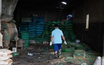 Xót xa trang trại gà còn lại sau lũ, lão nông Hà Nội mất trắng hàng chục tỷ đồng