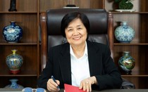 Trước khi bị tố chiếm đoạt cả trăm tỷ đồng, nữ đại gia Phạm Bích Ngà giàu thế nào?