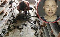 Từ “chúa nợ” nay kiếm vài trăm tỷ/năm nhờ nuôi loài ai thấy cũng khiếp vía