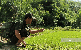 Chuyện ít biết về những người gieo "tương lai xanh" giữa núi rừng