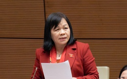 "Có vùng, có gia đình vừa thoát nghèo, chỉ sau một trận lũ có thể trở lại nghèo"