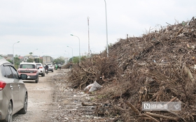 Rác thải chất đống cao ngút hai bên đường ở trung tâm đô thị Nghệ An