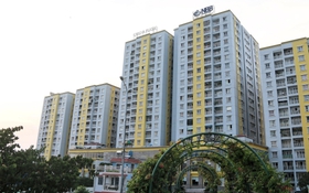 CII tái cơ cấu cổ phiếu NBB