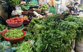 Tp.HCM kích hoạt giải pháp khẩn cấp giữ bình ổn giá rau