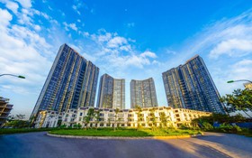 Sunshine Homes và công ty con vừa chuyển nhượng gần 1.500 tỷ đồng cổ phần