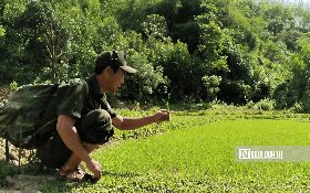 Chuyện ít biết về những người gieo "tương lai xanh" giữa núi rừng