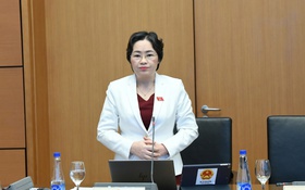 Nên thận trọng khi cho địa phương cấp phép thăm dò, khai thác kim loại quý