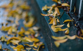 Trai phố cổ - Những hào hoa thắp sáng thành Hà Nội